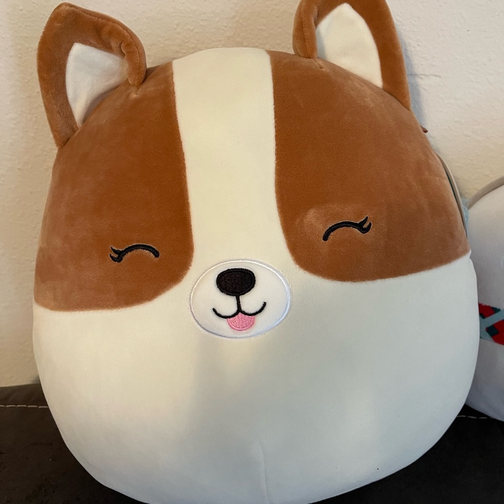10in Regina Squishmallow nwt